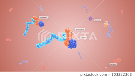 Anticoagulants work to slow down the body's process of making clots. 103222368