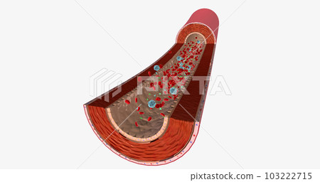 Blood Flow with Antinuclear Antibody Blood Flow with Antinuclear Antibody 103222715