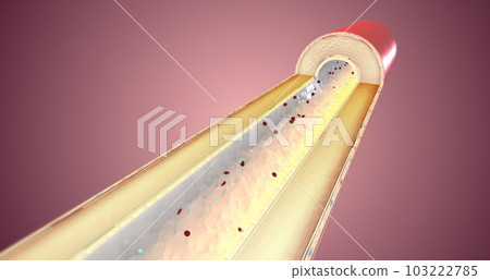 By reducing the amount of angiotensin II, vasopressin is not released. By reducing the amount of angiotensin II, vasopressin is not released. 103222785