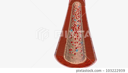 Blood Flow with Antinuclear Antibody Blood Flow with Antinuclear Antibody 103222939