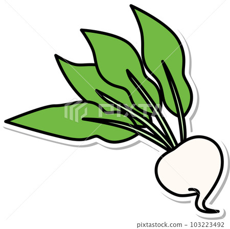 Sticker style vegetable single item icon Turnip Sticker style vegetable single item icon Turnip 103223492