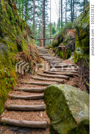 Forest staircase on tourist path near Drabovna sandstone rock area, Bohemian Paradise, Czech Republic 103223812