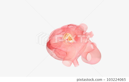 aortic regurgitation or aortic regurgitation aortic regurgitation or aortic regurgitation 103224065