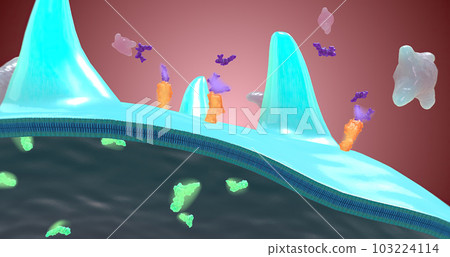 Platelet activation and aggregation play an important role in occlusive vascular events 103224114