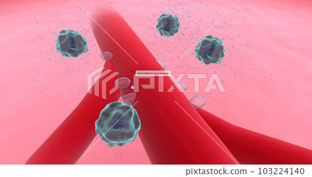 Anaphylaxis, Histamine Release and Vascular Edema Anaphylaxis, Histamine Release and Vascular Edema 103224140