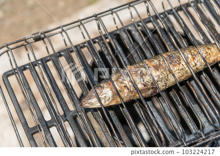 [Salted sardine grilled at the auto campsite] 103224217