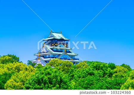 新鮮的綠色大阪城堡 新鮮的綠色大阪城堡 103224360