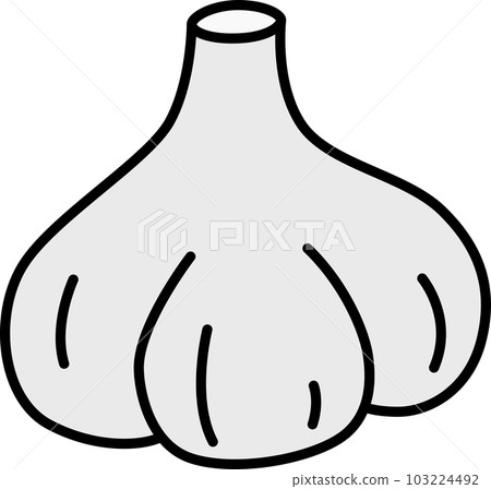 Vegetable color single item icon Garlic 103224492
