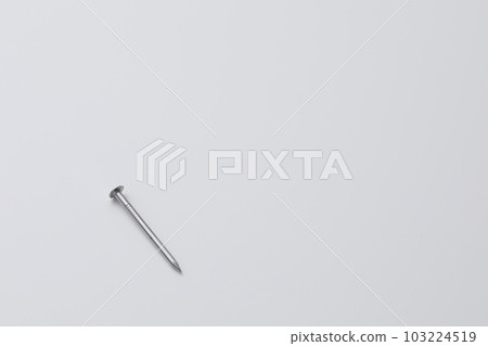 在白色背景上拍攝的指甲 在白色背景上拍攝的指甲 103224519