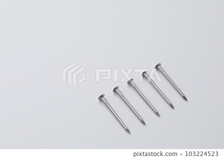 Nails photographed on a white background 103224523