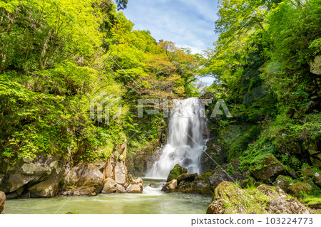 Naso的白爆谷 103224773