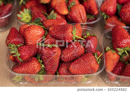 juicy fresh strawberries at the farmer's market in plastic containers 103224982