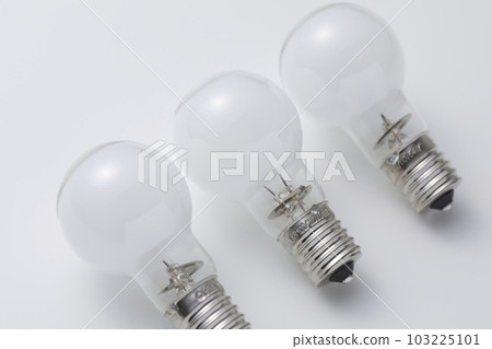 在白色背景下拍攝的燈泡 103225101
