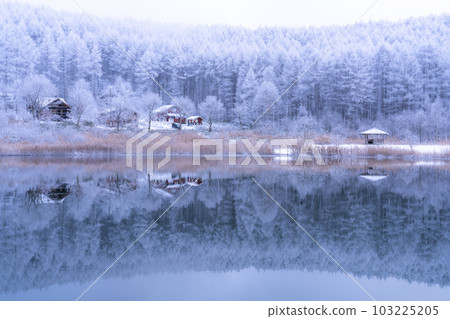 《長野縣》雪景中的中卷湖、霧凇林和湖面倒影 103225205