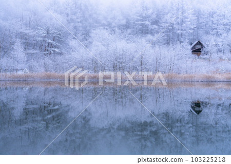 《長野縣》雪景中的中卷湖、霧凇林和湖面倒影 103225218