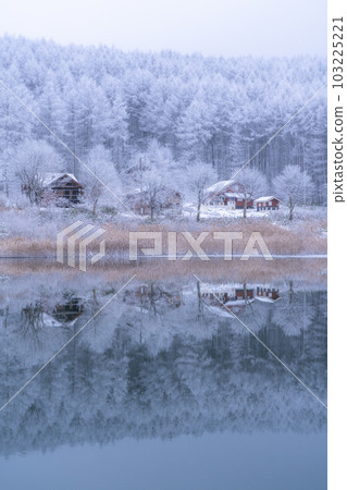 《長野縣》雪景中的中卷湖、霧凇林和湖面倒影 103225221