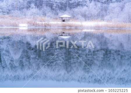 《長野縣》雪景中的中卷湖、霧凇林和湖面倒影 103225225
