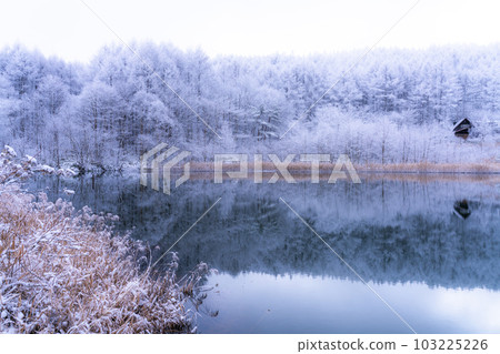 《長野縣》雪景中的中卷湖、霧凇林和湖面倒影 103225226