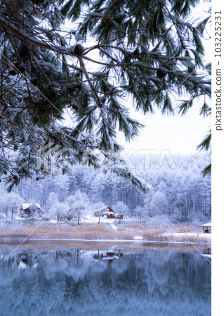 《Nagano Prefecture》Lake Nakamaki in the snowy landscape, rime forest and reflection of the lake 《Nagano Prefecture》Lake Nakamaki in the snowy landscape, rime forest and reflection of the lake 103225231
