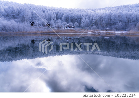 《長野縣》雪景中的中卷湖、霧凇林和湖面倒影 103225234