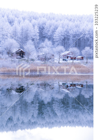 《Nagano Prefecture》Lake Nakamaki in the snowy landscape, rime forest and reflection of the lake 《Nagano Prefecture》Lake Nakamaki in the snowy landscape, rime forest and reflection of the lake 103225239