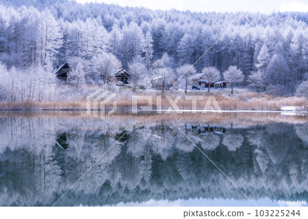 《長野縣》雪景中的中卷湖、霧凇林和湖面倒影 103225244