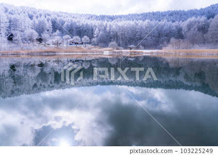 《Nagano Prefecture》Lake Nakamaki in the snowy landscape, rime forest and reflection of the lake 103225249