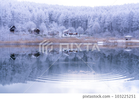 《長野縣》雪景中的中卷湖、霧凇林和湖面倒影 103225251