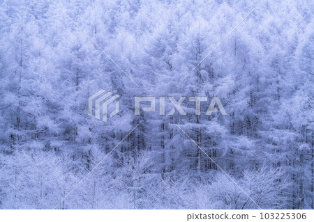 《Nagano Prefecture》Lake Nakamaki Snow Scenery / Forest of Hoarfrost 《Nagano Prefecture》Lake Nakamaki Snow Scenery / Forest of Hoarfrost 103225306