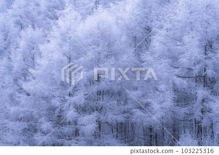 《長野縣》中卷湖雪景/白霜之森 103225316