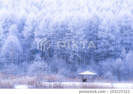 《Nagano Prefecture》Lake Nakamaki Snow Scenery / Forest of Hoarfrost 103225322