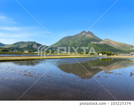 Fresh greenery of Mt. Yufu and paddy fields filled with water 103225374
