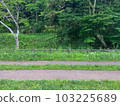 小山路 103225689