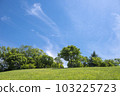Early summer sky and green 103225723
