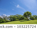 Early summer sky and green 103225724