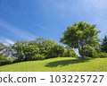 Early summer sky and green 103225727