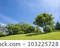Early summer sky and green 103225728