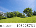 Early summer sky and green 103225731