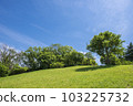Early summer sky and green 103225732