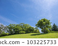 Early summer sky and green 103225733