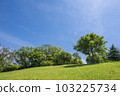 Early summer sky and green 103225734