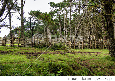 Galician panorama along the road to San Andres de Teixido, A Coruna Province, Galicia, Spain Galician panorama along the road to San Andres de Teixido, A Coruna Province, Galicia, Spain 103225748