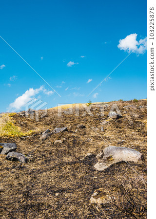 Traces of wildfire [Kirigamine Highlands] 103225878