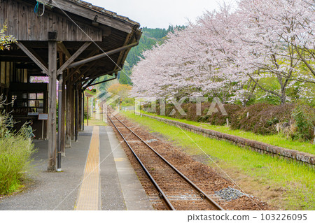 嘉麗川站和櫻花 103226095