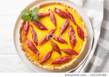 Rhubarb custard tart or pie closeup on the plate. Horizontal top view Rhubarb custard tart or pie closeup on the plate. Horizontal top view 103226366