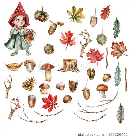 Autumn set of leaves and mushrooms. Hand drawn illustration of autumn. Perfect for scrapbooking, kids design, wedding invitation, posters, greetings cards, party decoration. 103226451