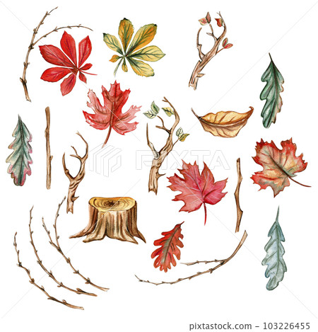 Autumn set of leaves and mushrooms. Hand drawn illustration of autumn. Perfect for scrapbooking, kids design, wedding invitation, posters, greetings cards, party decoration. 103226455