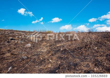 Traces of wildfire [Kirigamine Highlands] 103226669