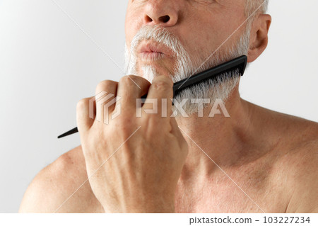 Portrait of handsome mature man with gray hair taking care after beard, brushing it, posing shirtless against grey background 103227234