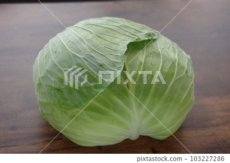 Cabbage Fresh cabbage Cabbage Fresh cabbage 103227286